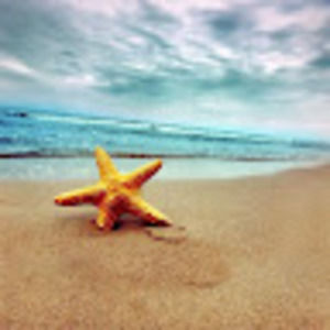 Meet your Posher, Ursula